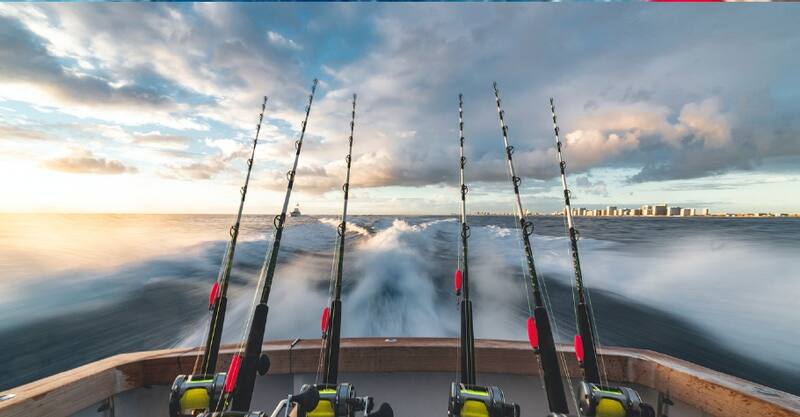 Fishing Charters