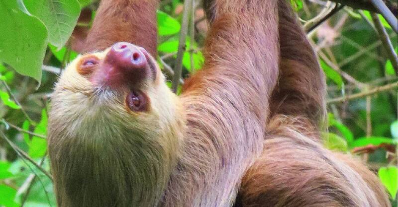 Manuel Antonio National Park